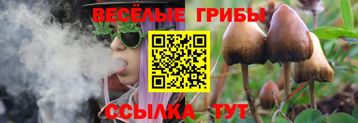 Галлюциногенные грибы Psilocybine cubensis  Вход с VPN  где продают наркотики  Верхняя Салда 